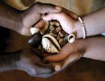 South African traditional healers become big business +256778035822